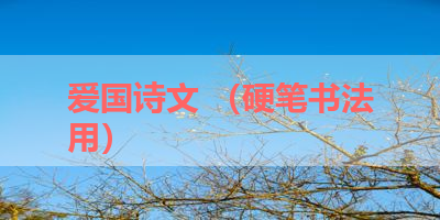 爱国诗文 （硬笔书法用） 