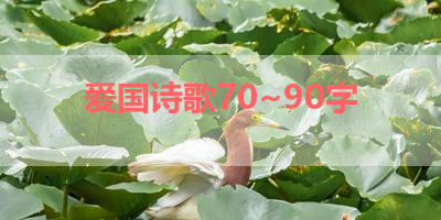 爱国诗歌70~90字 