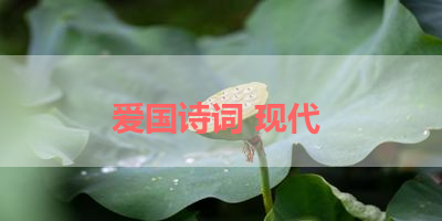 爱国诗词 现代 