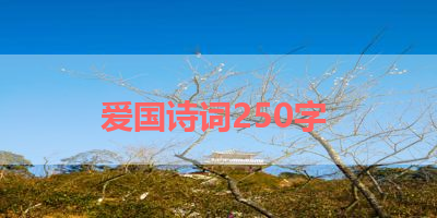 爱国诗词250字 