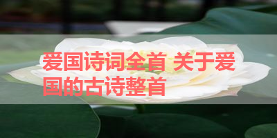 爱国诗词全首 关于爱国的古诗整首 