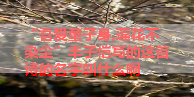“吾爱童子身,莲花不染尘”丰子恺写的这首诗的名字叫什么啊 