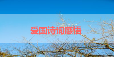 爱国诗词感悟 