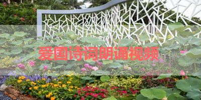 爱国诗词朗诵视频 