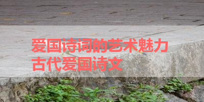 爱国诗词的艺术魅力 古代爱国诗文