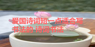 爱国诗词短一点适合写书法的 诗词书法