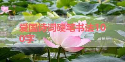 爱国诗词硬笔书法100字 