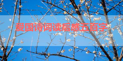 爱国诗词读后感五百字 
