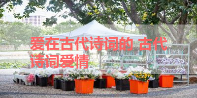 爱在古代诗词的 古代诗词爱情