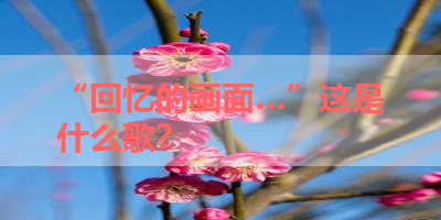 “回忆的画面…”这是什么歌？ 