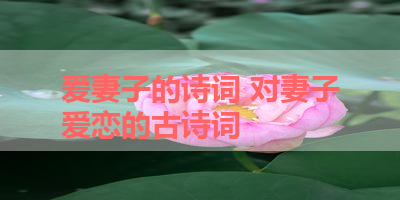 爱妻子的诗词 对妻子爱恋的古诗词