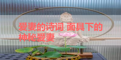 爱妻的诗词 面具下的神秘爱妻