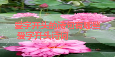 爱字开头的诗句有哪些 爱字开头诗词