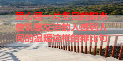 爱心是一片冬日的阳光使饥寒交迫的人感到人间的温暖这样的排比句 