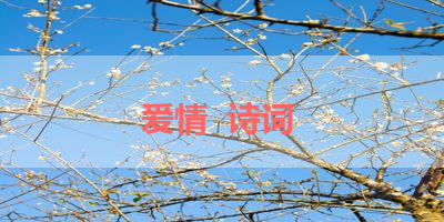 爱情  诗词 