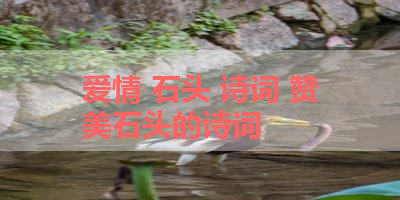 爱情 石头 诗词 赞美石头的诗词