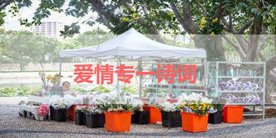 爱情专一诗词 