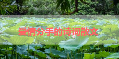 爱情分手的诗词散文 