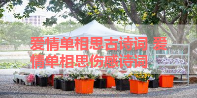 爱情单相思古诗词 爱情单相思伤感诗词 