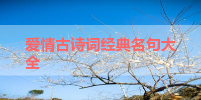 爱情古诗词经典名句大全 