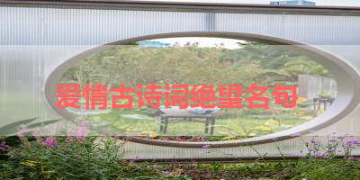 爱情古诗词绝望名句 