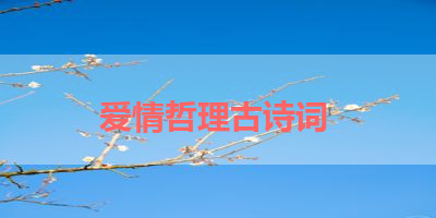 爱情哲理古诗词 