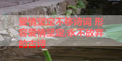 爱情坚定不移诗词 形容爱情坚定,永不放弃的古诗 
