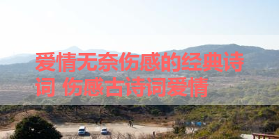 爱情无奈伤感的经典诗词 伤感古诗词爱情