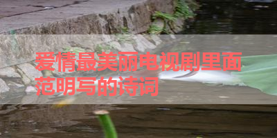 爱情最美丽电视剧里面范明写的诗词 