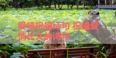 爱情祝福诗句 祝福爱情长久的诗句