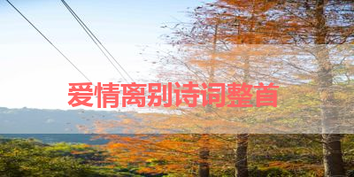 爱情离别诗词整首 