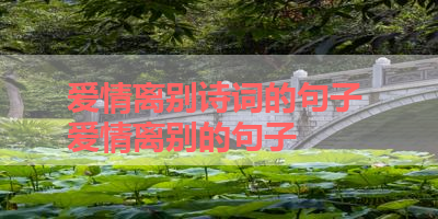 爱情离别诗词的句子 爱情离别的句子