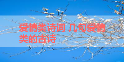 爱情类诗词 几句爱情类的古诗 