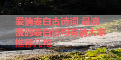 爱情表白古诗词 最浪漫的表白诗句有请大家推荐几句 