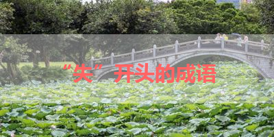 “失”开头的成语 
