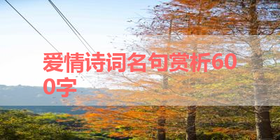 爱情诗词名句赏析600字 