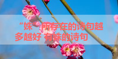 “姝”所存在的诗句越多越好 有姝的诗句