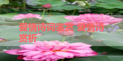 爱情诗词鉴赏 爱情诗赏析