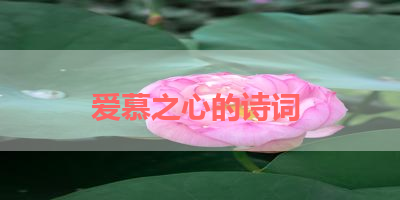 爱慕之心的诗词 