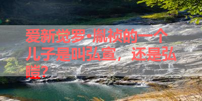 爱新觉罗·胤祯的一个儿子是叫弘宣，还是弘暟？ 