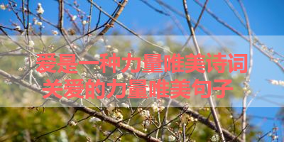 爱是一种力量唯美诗词 关爱的力量唯美句子