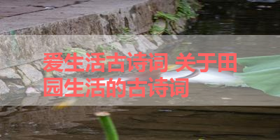 爱生活古诗词 关于田园生活的古诗词