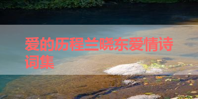爱的历程兰晓东爱情诗词集 