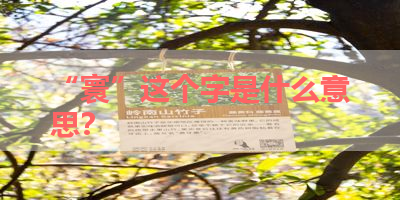 “寰”这个字是什么意思？ 