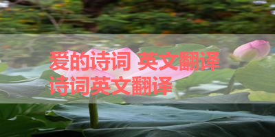 爱的诗词 英文翻译 诗词英文翻译