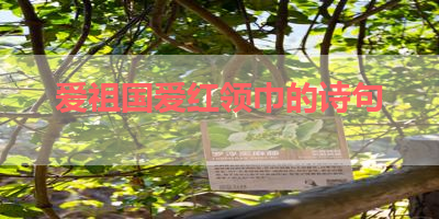 爱祖国爱红领巾的诗句 