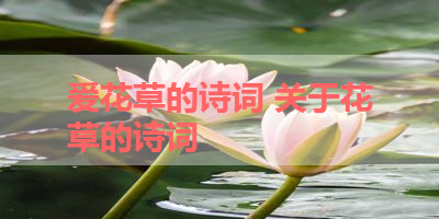 爱花草的诗词 关于花草的诗词