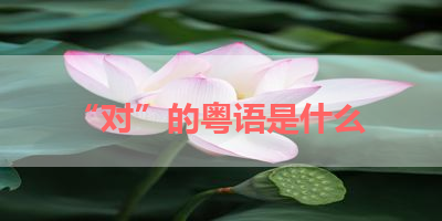 “对”的粤语是什么 