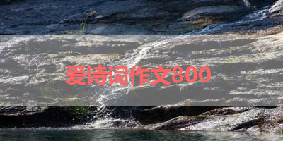 爱诗词作文800 