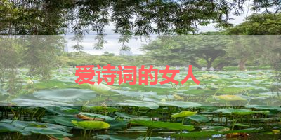 爱诗词的女人 